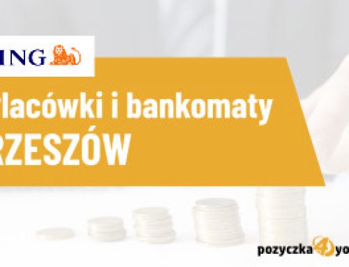 pozyczka online bez umowy o prace