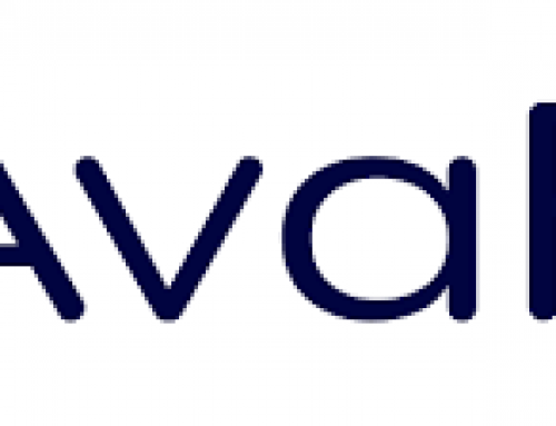 AvaFin – opinie i recenzja